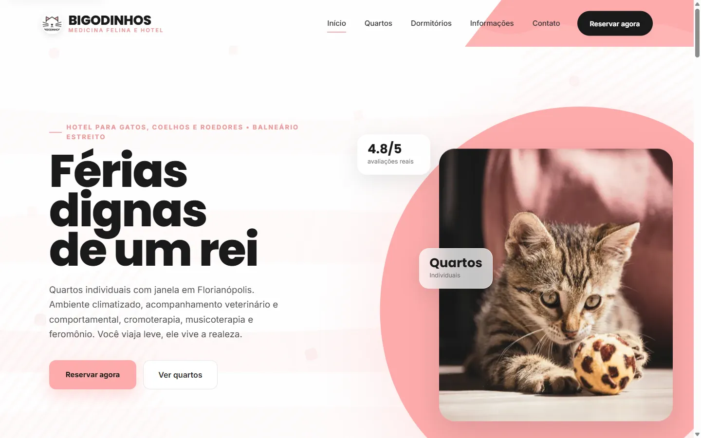 Tela do site Bigodinhos com hero amplo, formas orgânicas rosadas e foto de um gato.